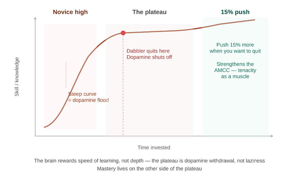 The learning curve and the plateau